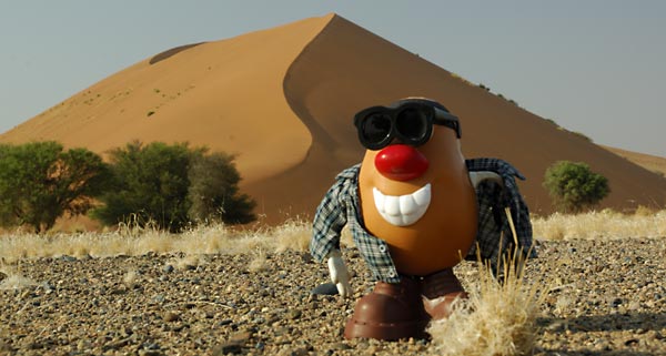 Catching some rays in the world's biggest sandbox