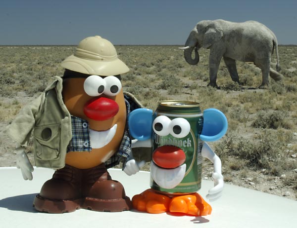 Spud and Wendy enjoying each other's company while viewing Namibia's big game in Etosha