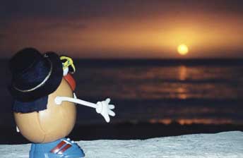 The sun sets on Spud's Jamaican excursion