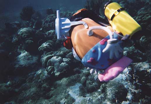 Spud  surveys the amazing coral formations along the Maya barrier reef