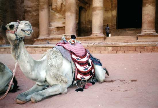 Spud arrives at the lost city of Petra