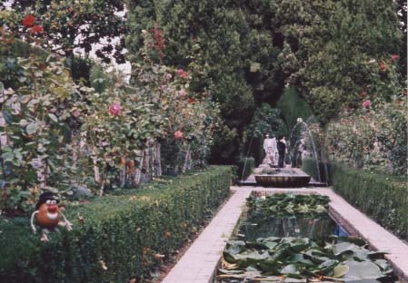 Spud inspects the precision manicure performed on the Myrtle hedges in the Patio de Arrayanes