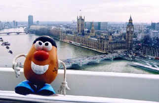 Spud spots the Houses of Parliament and Big Ben from the London Eye