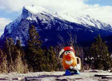 Spud at home in the rockies
