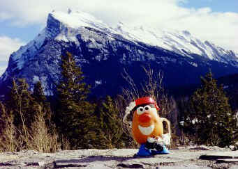 Spud relishes in the beautiful Canadian rockies