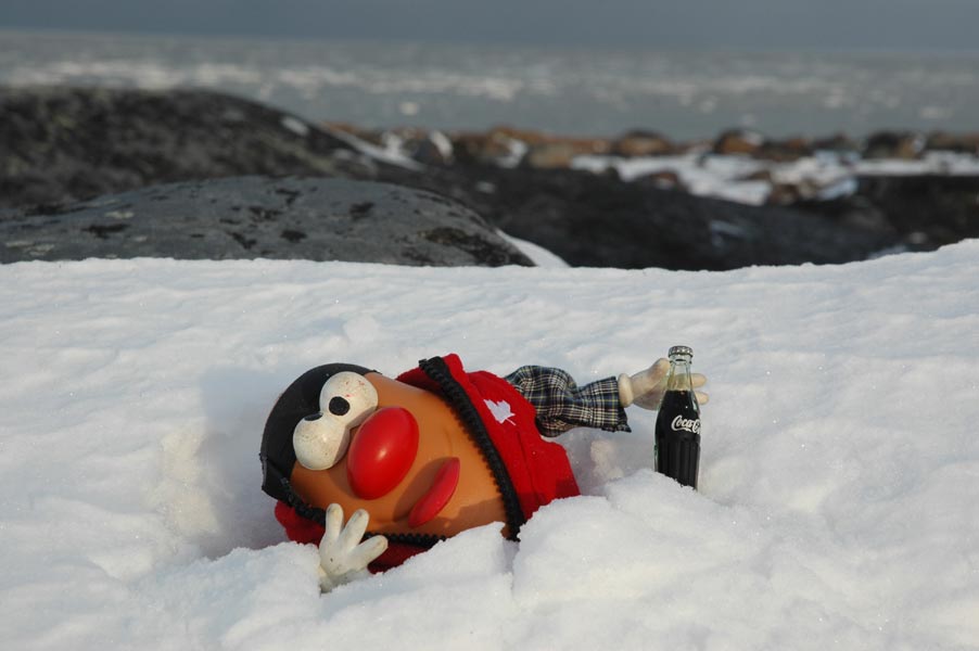 Sure, it might disintegrate a nail in a few days, but the 'real thing' saved the day for our intrepid potato.