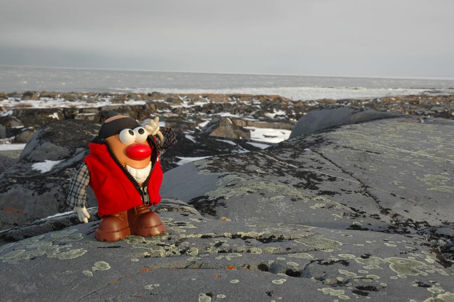 Spud surveys the tundra in Canada's Great White North