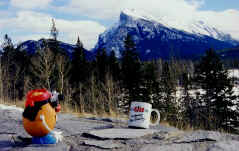 The tater photographs the CISS mug in the Alberta Mountains