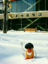 The Forum in Montreal - the scene of many Canadian  ice hockey dynasties