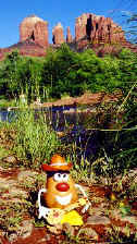 Playin' Tumblin' tumbleweed at the foot of Cathedral Rock