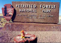 Playing the geologist at the Petrified Forest