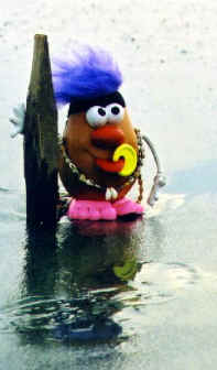 Spud prepares to hang ten at Huntington Beach