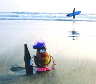 Surf's up dude!!