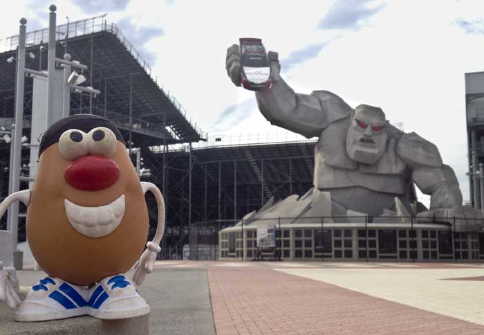 Spud watches Myles at work in Dover