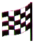 Race Flag - Checkered.gif (2319 bytes)
