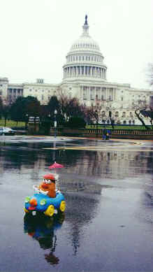 Spud takes a drive down the Mall in front of the Capitol building