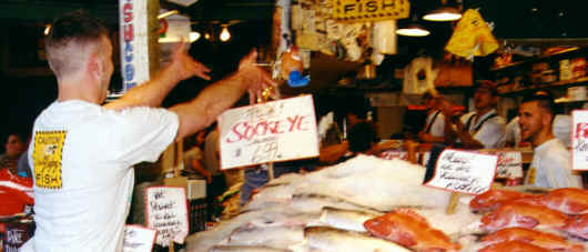 Spud gets hurled across the fish counter