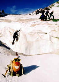 Spud leads his team across the ruptured Cowlitz Glacier