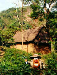 Protected by his evil eye, Spud prepares to leave the jungle town of Rurrenabaque